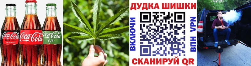 Купить закладки  Борзя  Cannafood конопля 