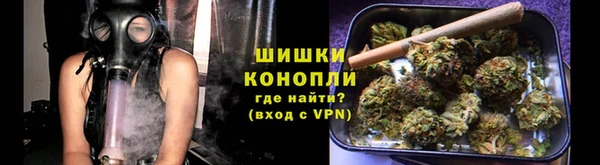 каннабис Инта